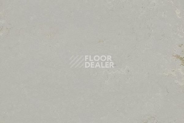 Плитка ПВХ Marmoleum Modular t3717 Neptune фото 1 | FLOORDEALER